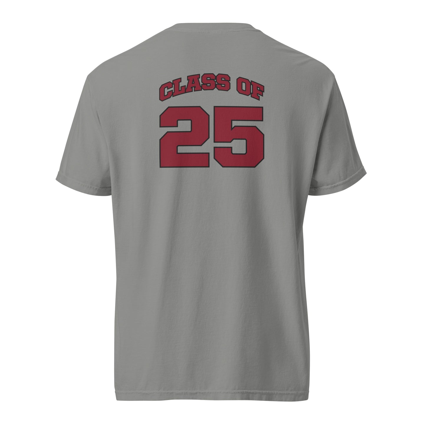Class of 2025 Unisex garment-dyed heavyweight t-shirt
